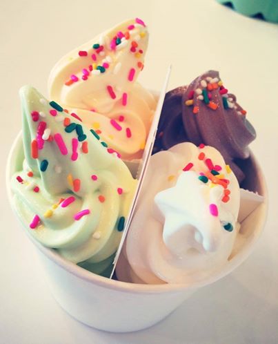Frozen Yogurt Divider
