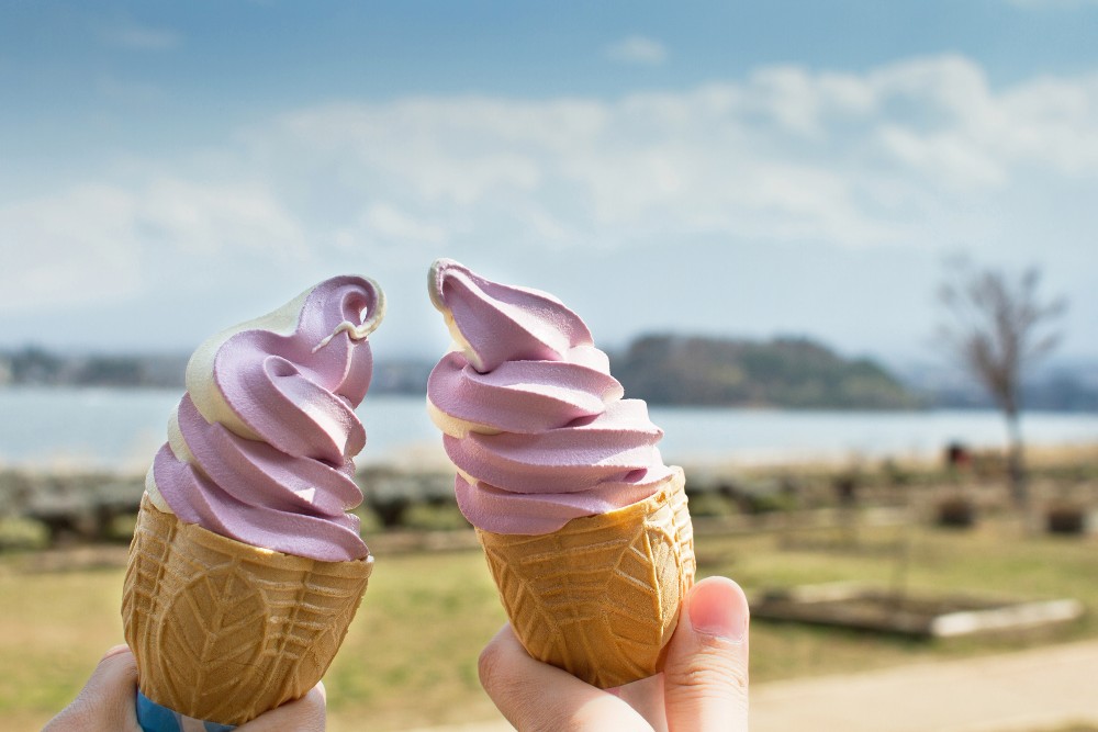 Soft Serve Ice Cream Machines and Franchise Opportunities