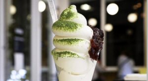 Choosing the Right Soft Serve Product for Your Business